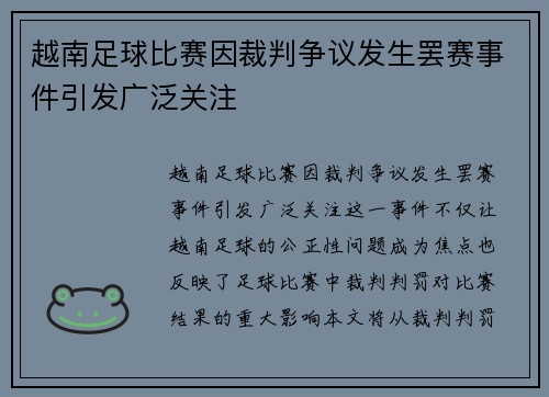 越南足球比赛因裁判争议发生罢赛事件引发广泛关注
