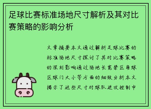 足球比赛标准场地尺寸解析及其对比赛策略的影响分析