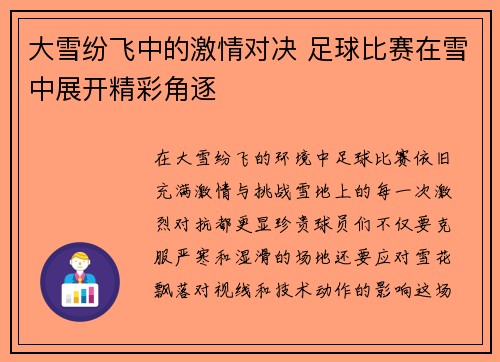 大雪纷飞中的激情对决 足球比赛在雪中展开精彩角逐